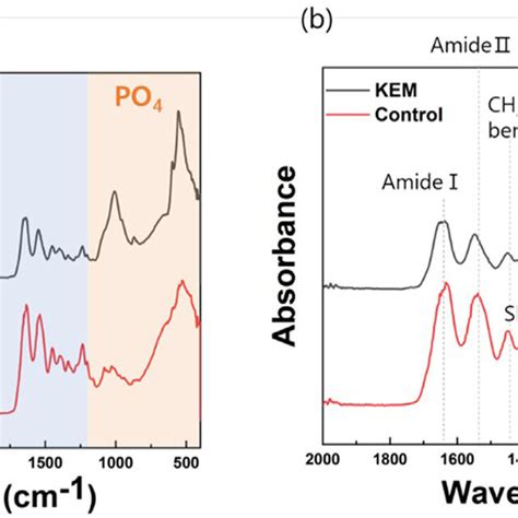 Ftir Spectra Of Samples A Cm And B Cm