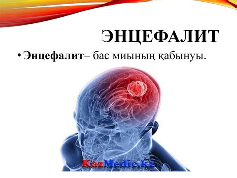 Энцефалит - бас миының қабынуы - презентация онлайн