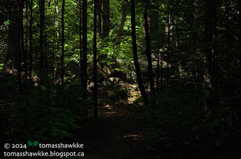 Tomass Hawkke S Naked Nature