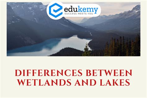 Differences Between Wetlands And Lakes Upsc Environment