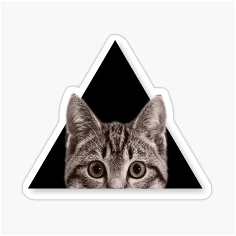 Cute Cat Sticker For Sale By Raed Salem Redbubble