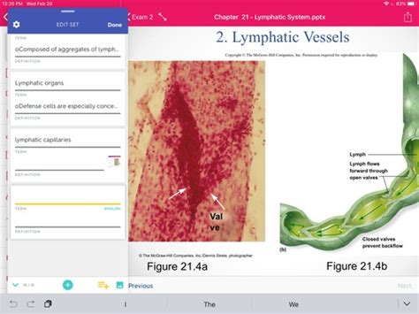 Chapter Lymphatic System Flashcards Quizlet