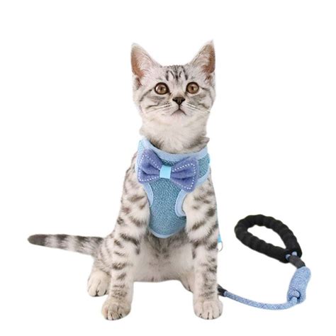 Cat Leash And Bowknot Harness Set Pet Adjustable Harness With Leash For