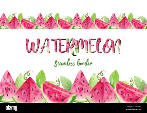 watercolor illustration set watermelon leaves seamless pattern
