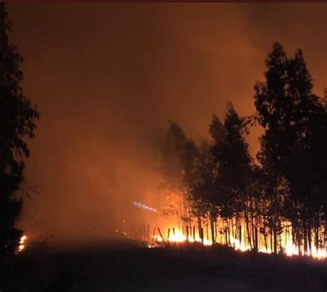 Alerta En Chile Por 40 Incendios Forestales Activos