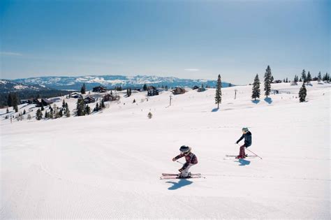 Tahoe Donner Downhill Ski Resort California Ski Industry Association