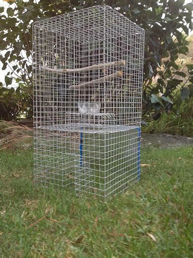 Myna Bird Traps Delivered Australia Wide Myna Bird Traps For Sale