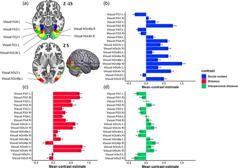 Activations Of Inferior Occipital Regions And The Fusiform Gyrus A