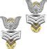 Navy Petty Officer 1st Class Collar Pair Badges Hat Full Size