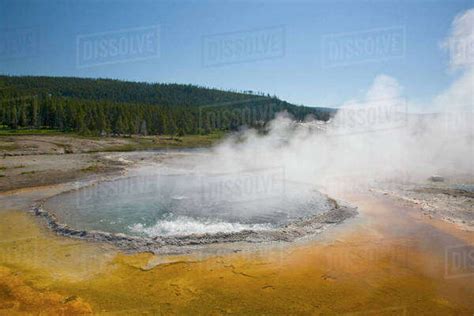 Wy Yellowstone National Park Upper Geyser Basin Crested Pool