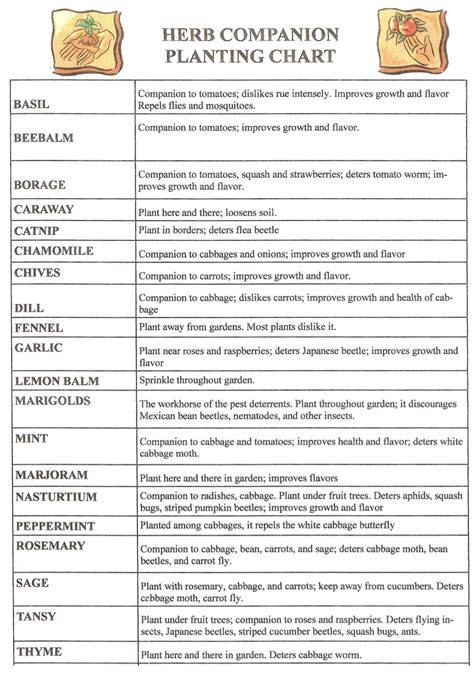 Free Printable Companion Planting Chart