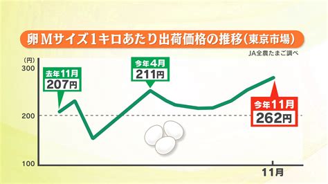 【解説】“物価の優等生”がなぜ高騰？卵の価格推移と今後の見通し 農水相は「年明けには低下」 Tbs News Dig