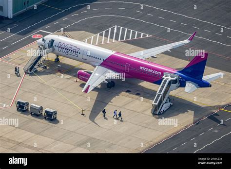 Airport Birds Hi Res Stock Photography And Images Alamy