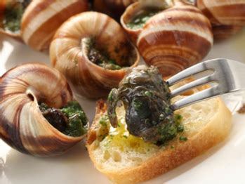 Escargot Raw Snail Dish From France Travell And Culture