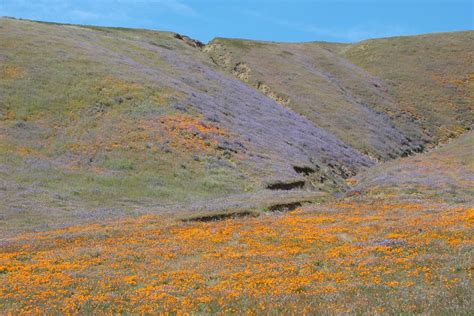 Ca 310d Antelope Valley Lake Elizabeth San Andreas Fault S Flickr