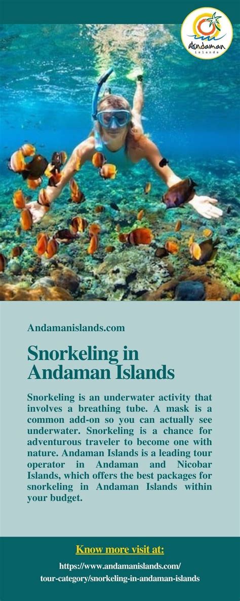 snorkeling  andaman islands andaman  nicobar islands andaman