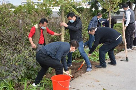 广州市花都区花东镇人民政府 初春添新绿，种下希望苗！花东镇开展植树活动