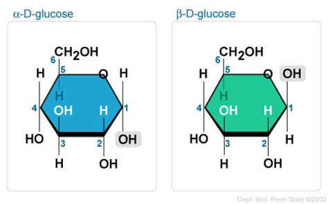 Solved The Difference Between Alpha And Beta Forms Of Pyranose Self