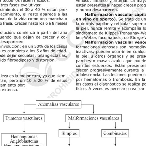 5 Clasificación Biológica De Las Anomalías Vasculares Download