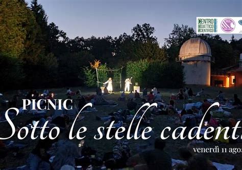 Picnic Sotto Le Stelle Cadenti Nel Parco Pineta Con Pianoforte