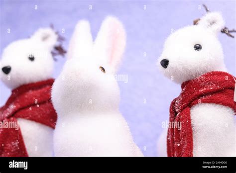 Cute Bunny Snow Hi Res Stock Photography And Images Alamy