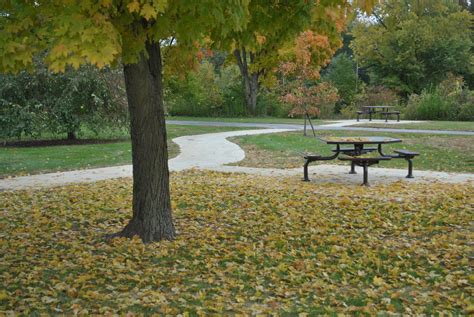 Centennial Park – Hancock Park District