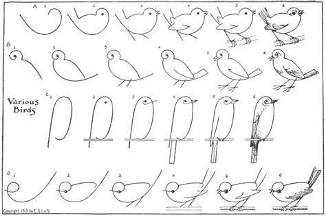 Drawing Various Birds Step by Step Instructions | Free Printable Puzzle ...