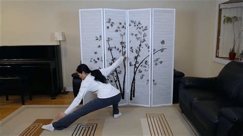 Tai Chi Yang Style Form First Sequences Up To Descending Single