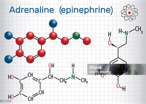 Qual A Função Da Adrenalina - Vetores de Molécula De Adrenalina É Um Hormônio Neurotransmissor E ...