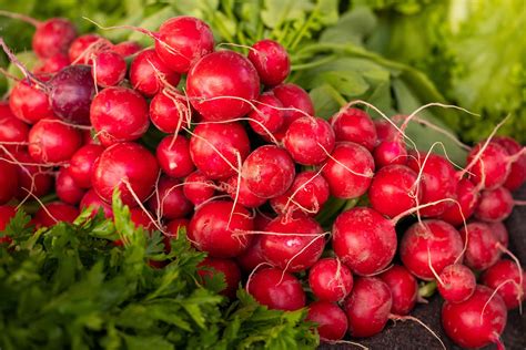 Radishes Vegetables Market Root Free Photo On Pixabay Pixabay