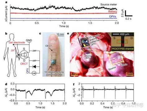 科学研究可监测人体生理信号的新型柔性自供能生物传感器 知乎