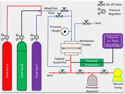 Schematics Of Gas Permeation Setup To Assess Gas Permeabilities