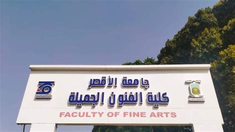 جامعة الأقصر تستضيف الندوة التثقيفية للاحتفال باليوبيل الذهبي لنصر