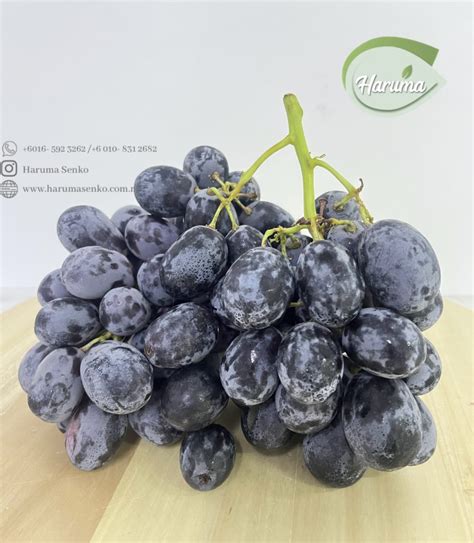 Grapes Seedless Black Adora Usa美国黑葡萄 1kg Haruma Senko Online