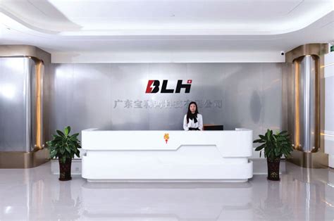 Guangdong Baolihong Technology Co Ltd