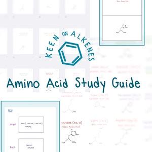 Amino Acid Flashcards And Study Sheet Etsy