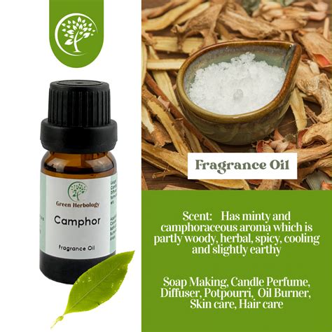 Camphor Fragrance Oil Green Herbology