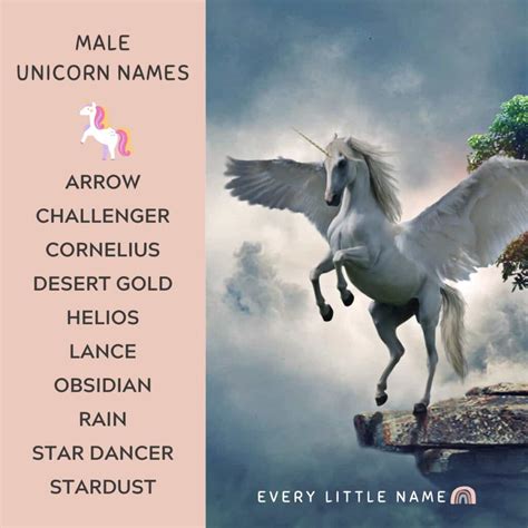 240+ Best Unicorn Names (Magical, Adorable, and Fabulous) - Every ...