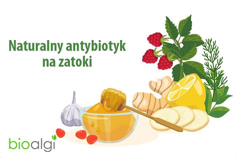 Naturalny Antybiotyk Na Zatoki Bioalgi