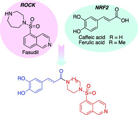 Our molecular hybridization strategy. | Download Scientific Diagram