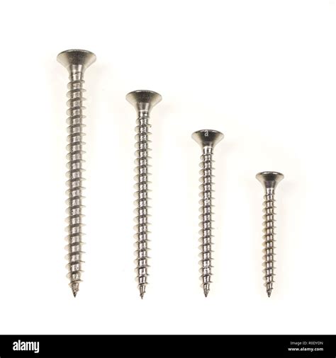 Different Sizes Of Stainless Steel Wood Screws In A Row On White