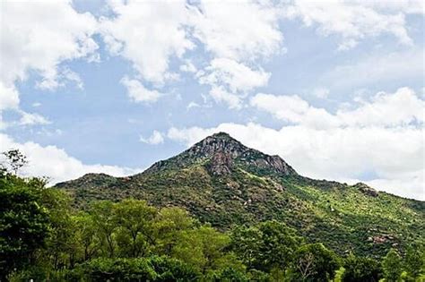 Arunachala Hill Photo Galleries | SRI RAMANASRAMAM