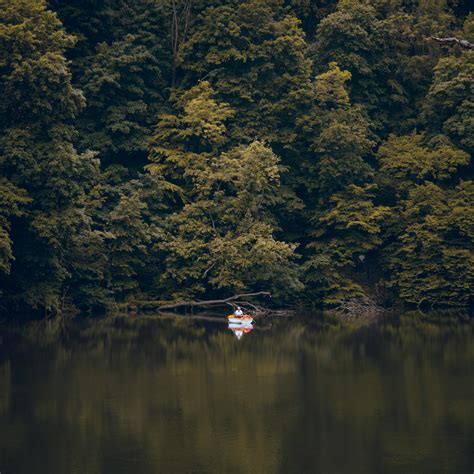 Recall Photos, Download The BEST Free Recall Stock Photos & HD Images