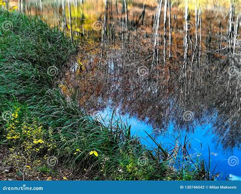 Nature Park Grza Near the Paracin, Serbia. Stock Photo - Image of fall ...