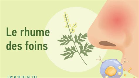 Le guide essentiel du rhume des foins rhinite allergique symptômes