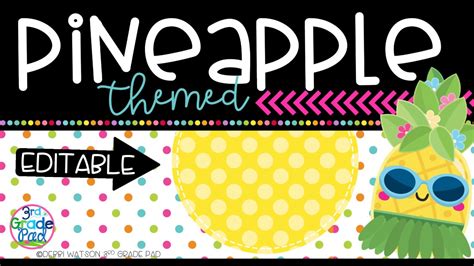 Editable Pineapple Classroom Decor And Labels Youtube