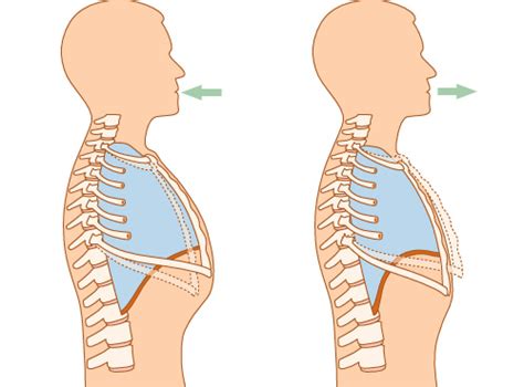 Aprende Y Disfruta Con Las Ciencias Naturales Abril