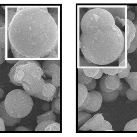 Sem Micrograph Of Pt Powder Calcined At 350 • C For 10 H Download Scientific Diagram