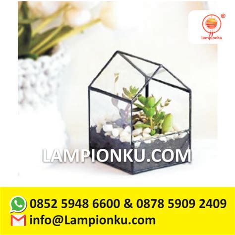 Jual Terrarium Online Harga Terrarium Di Jakarta Jual Terarium