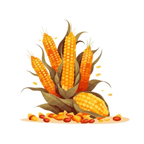 Fall Corn Stalk Vector Sticker Clipart Corn And Seeds Are On A White